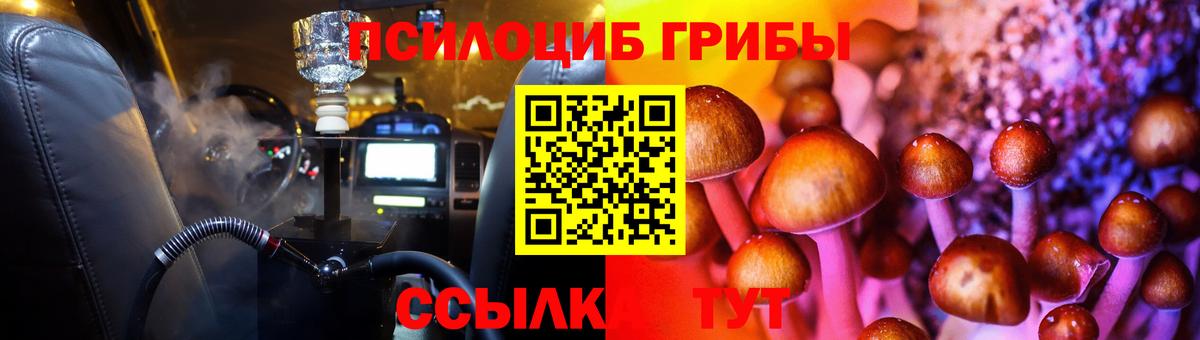 Галлюциногенные грибы Psilocybine cubensis  Вход с VPN  Нижнеудинск 